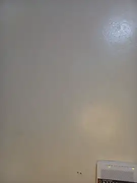 sashafreshy - SashaFreshy's free webcam - UK Sex Cams