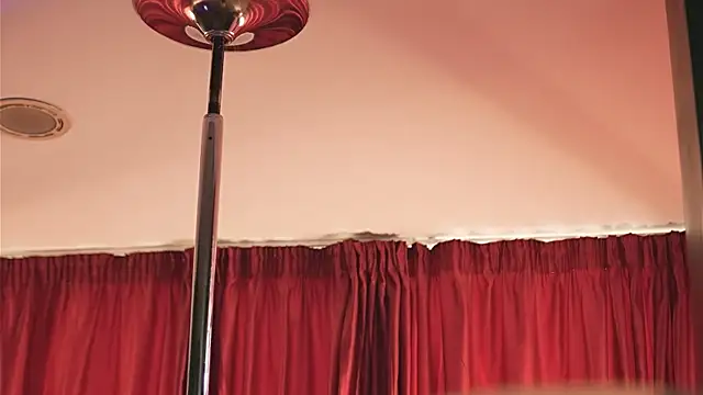 LuxenNoir webcam