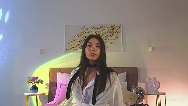 Vi_fi webcam