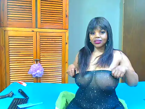 Boudelicious webcam