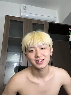 Cnmp6666 webcam