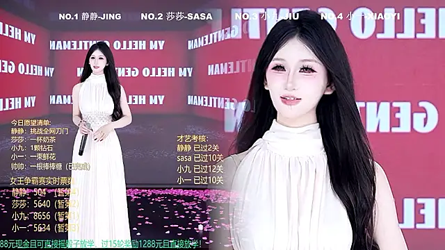 TY-002 webcam