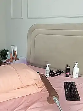 Liastarkk webcam