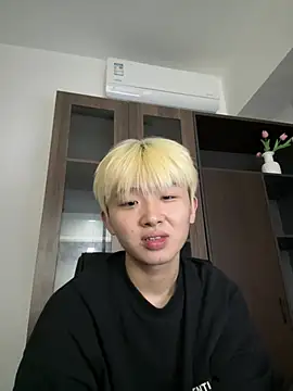 Cnmp6666 webcam