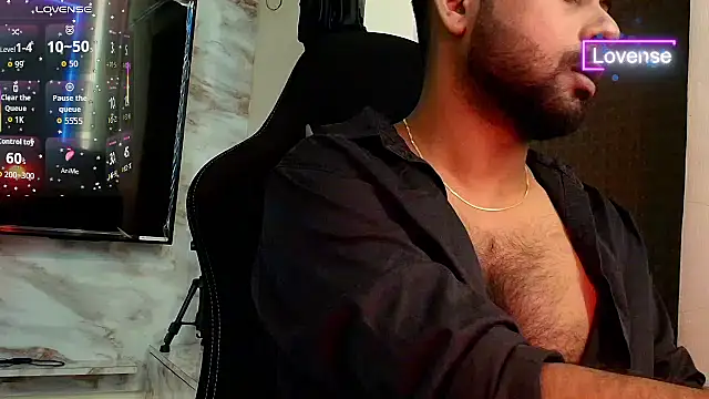 SilverShade3 webcam