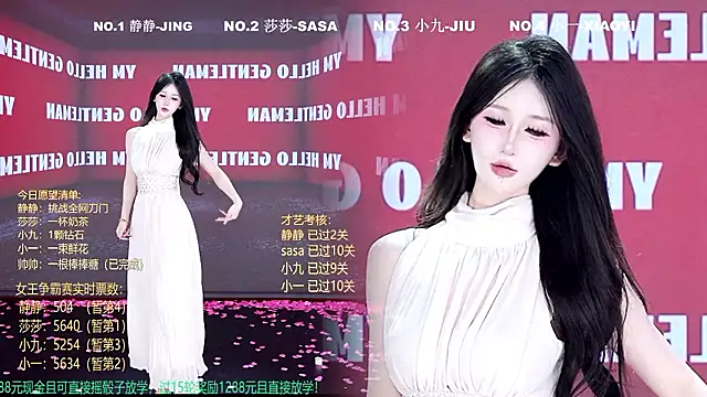 TY-002 webcam