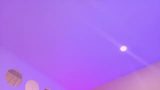 Nascary_Fox webcam