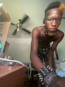 BBCSilace01 webcam