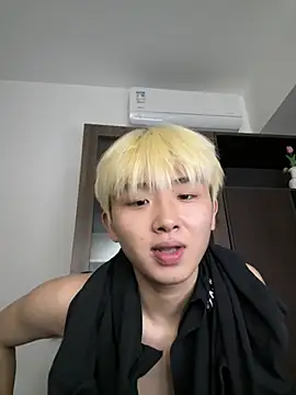 Cnmp6666 webcam