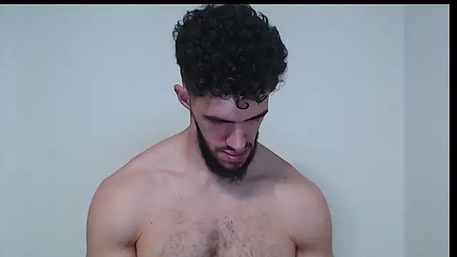 hiddenf webcam