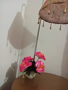 Tanha18 webcam