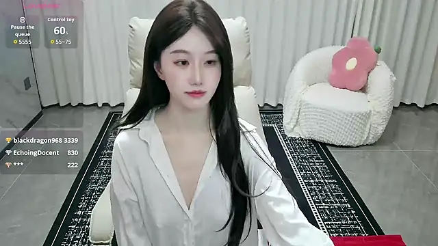 LUNYI-CC webcam