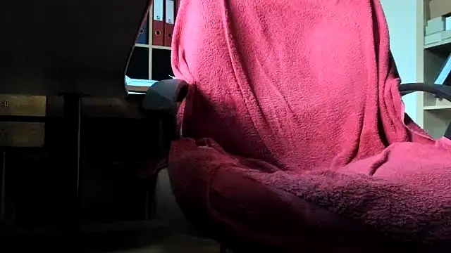 leccaleccafiga webcam