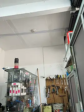 Paul22cm- webcam