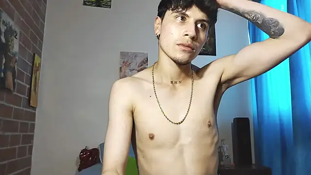 PaulDamico webcam