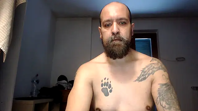 AMIRDIB2025 webcam