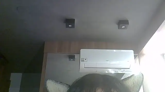 SkinnyKitten webcam