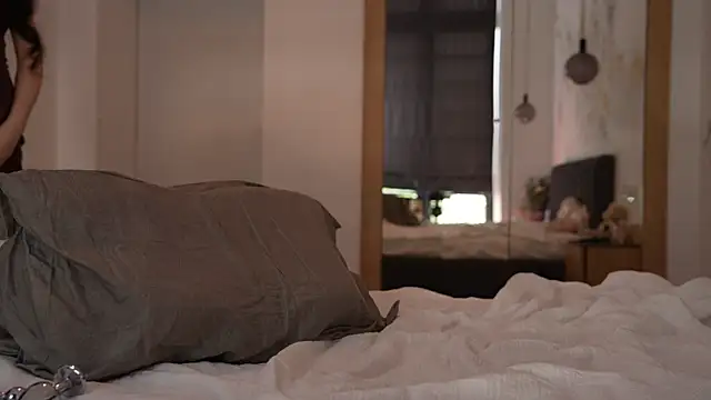 ibiddi webcam