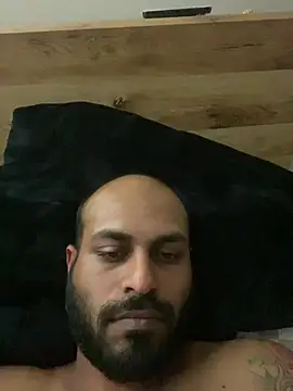 islandvybee55 webcam