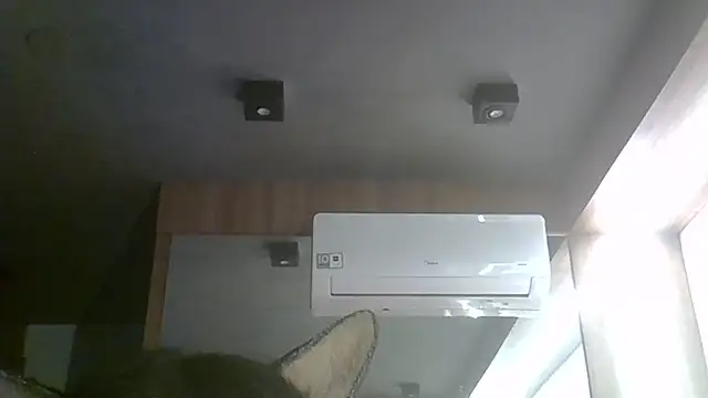 SkinnyKitten webcam