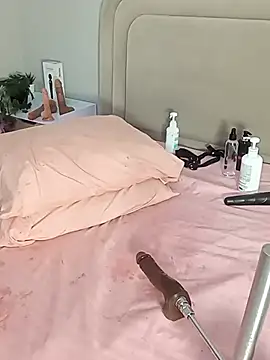 Liastarkk webcam