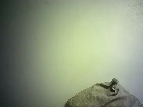 DelteAfriq webcam