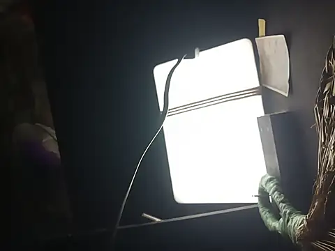 manilafoxts webcam