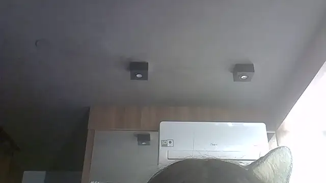 SkinnyKitten webcam