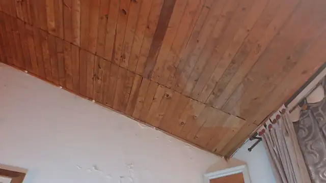 ArturoCardona_ webcam