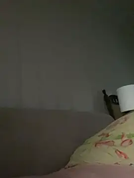 Frosl webcam