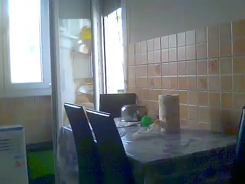 Alaska-perla webcam