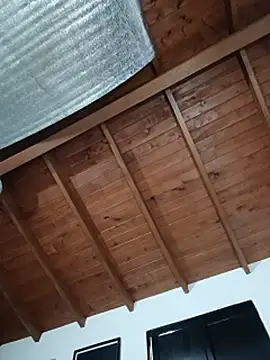 SilvaBranko webcam