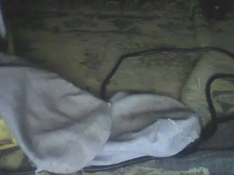 Bebita-zmp webcam