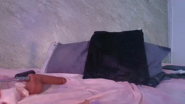 Dixie_grey1 webcam
