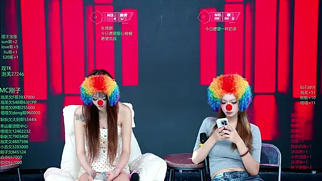 ZNZ-101 webcam