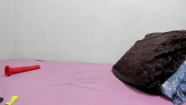 Kedicigi_Miyavlat webcam