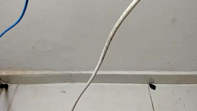 Boy_king28 webcam