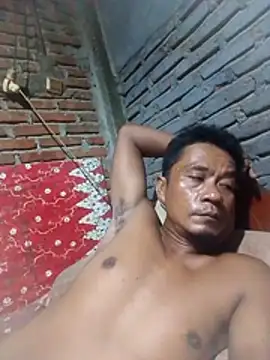 maxwel20 webcam