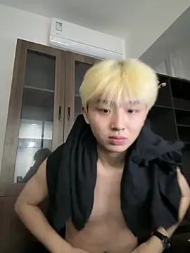 Cnmp6666 webcam