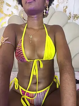 AVELINE_NOIR_CR webcam