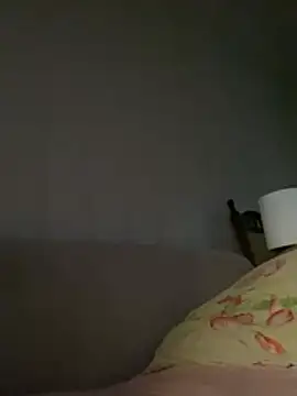 Frosl webcam
