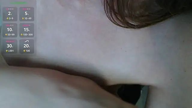 BB_Web webcam