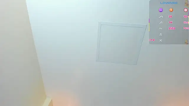 MAGIEVANS1 webcam