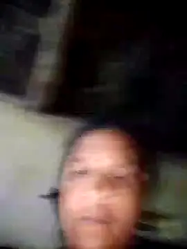 Loomaraj webcam