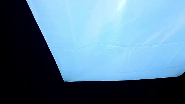 PerryKitty webcam