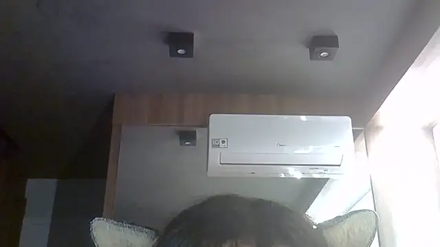 SkinnyKitten webcam