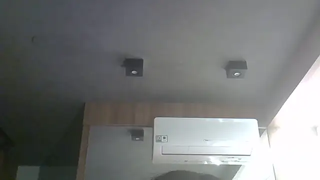 SkinnyKitten webcam