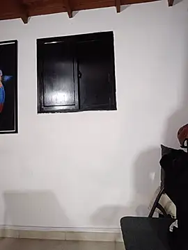 SilvaBranko webcam