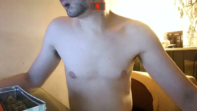 Hgay6935 webcam
