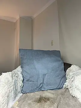 Samispank webcam